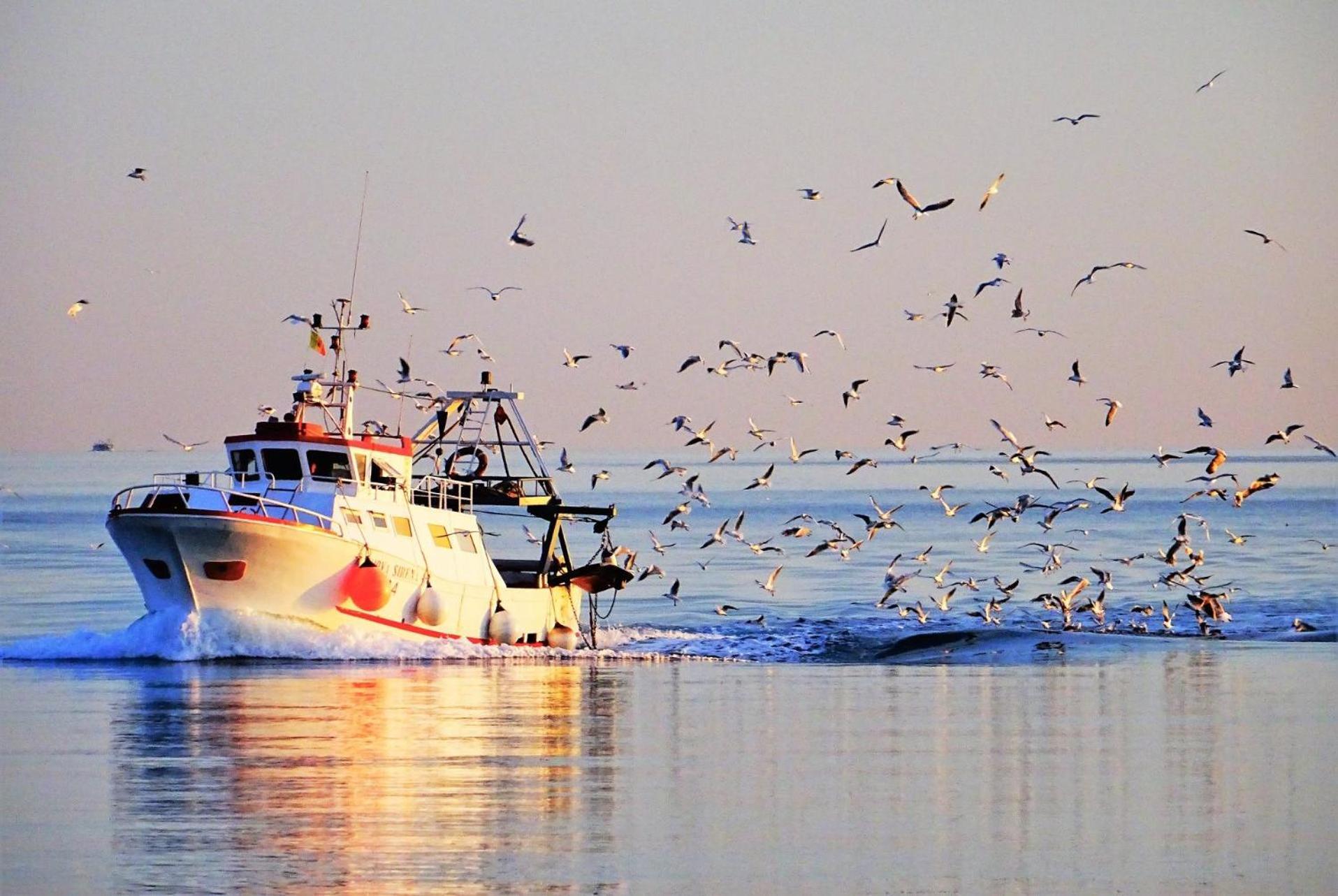 La Casa Del Pescatore N 33 - Porto Di St Spirito باري المظهر الخارجي الصورة
